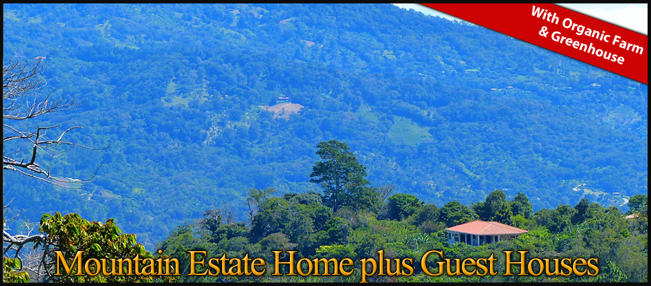 Mountain-Estate-Home-Guest-Houses-Organic-Farm
