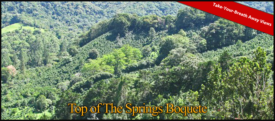 top-of-the-springs-boquete-10a-11