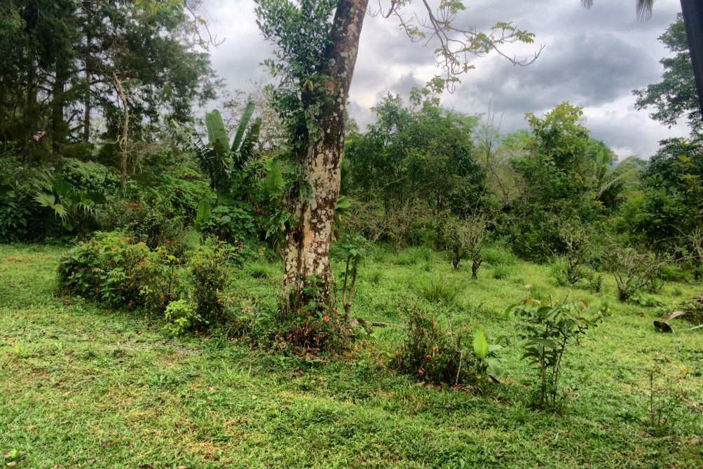 House plus 5.5 Hectares or 17.5 Hectares in Potrerillos Arriba, Dolega