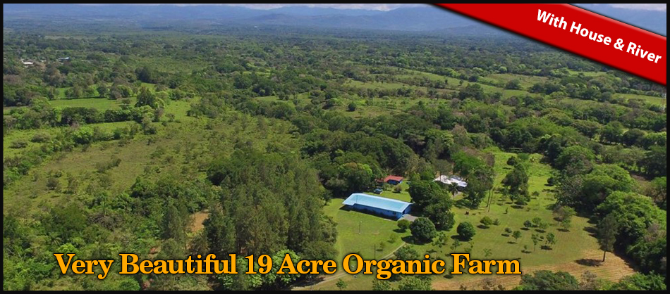 Very-Beautiful-19-Acre-Organic-Farm.jpg