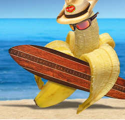 $100 million for Chiriqui & Bocas del Toro Bananas! – Economic Boon for the Region