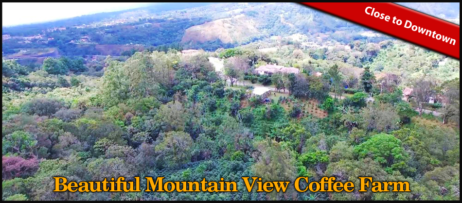 Beautiful-Mountain-View-Coffee-Farm.jpg