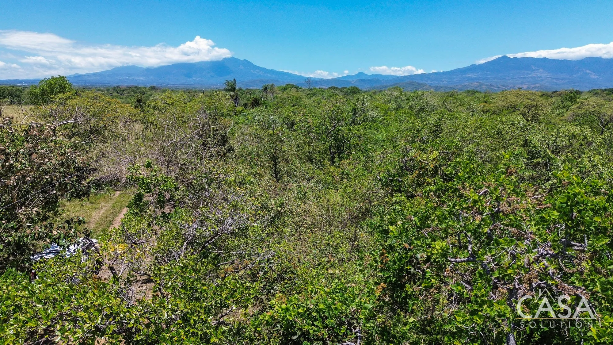 Outstanding Value Property for Sale Near Boquete and David, Panama – Over 44 Acres of Relatively Flat Land