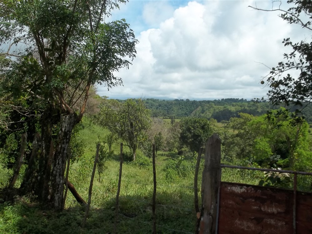 volcan properties archives boquete panama real estate property land for sell by owner