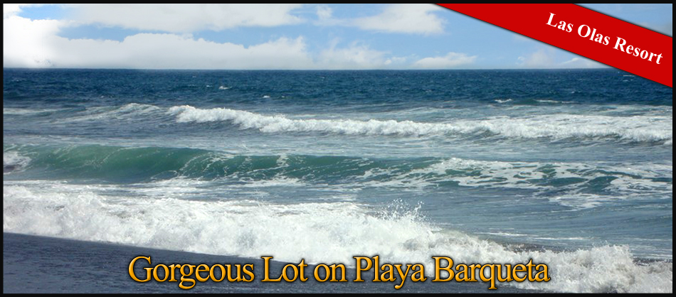 Gorgeous-Lot-on-Playa-Barqueta-1.jpg