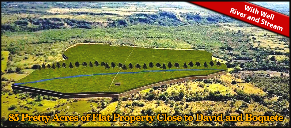 85-Pretty-Acres-of-Flat-Property-Close-t