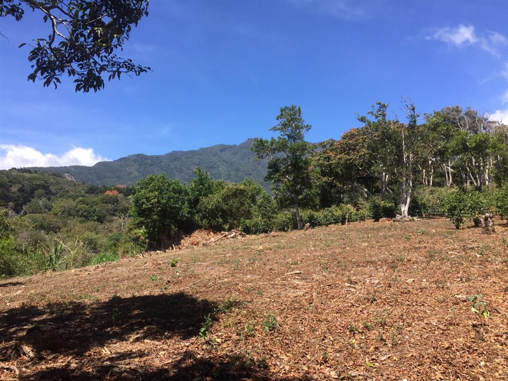 Price Reduction! Beautiful Land for Sale in Boquete, Panama Boquete