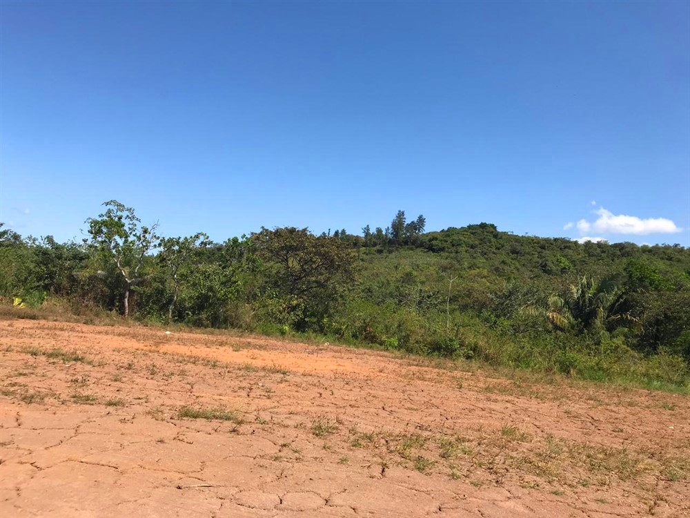 Land for Sale in Canto del Llano, Veraguas, Panama Boquete Panama