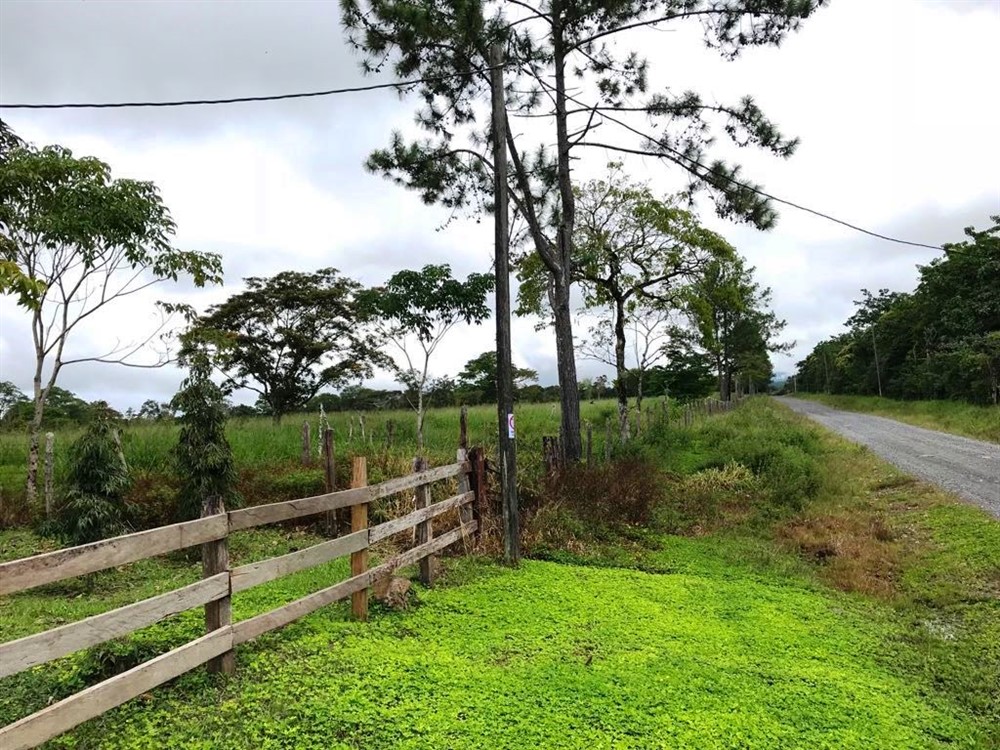 5 Hectares of Land (12 Plus Acres) for Sale in Boqueron, Panama