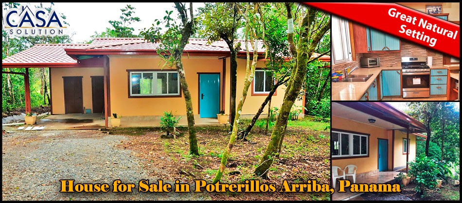 potrerillos-arriba-for-sale-2.jpg