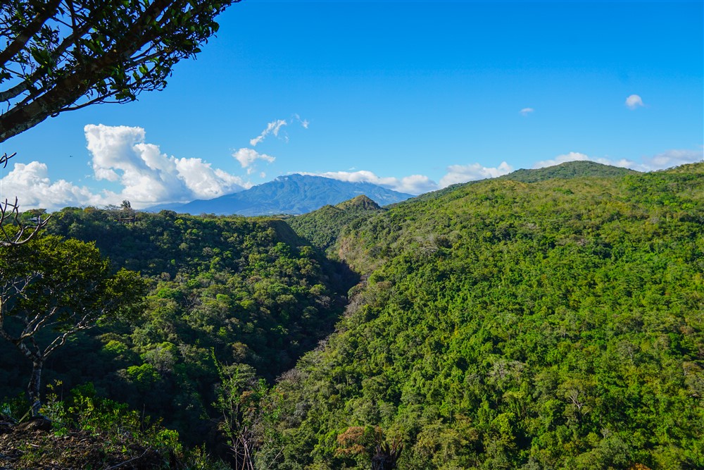 Property plus Business Opportunity 6 Vacation Rentals on 3/4 Acres