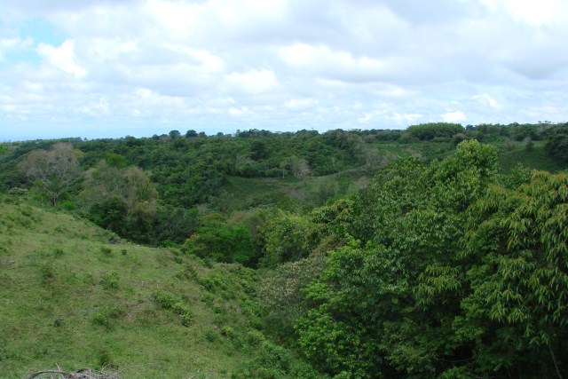 Sold by Casa Solution- Beautiful Countryside Property in Bongo, Bugaba