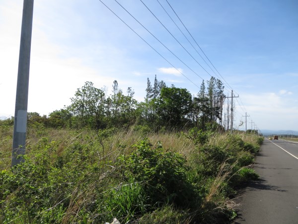 In the path of development – Nearly 1.5 acres on the highway