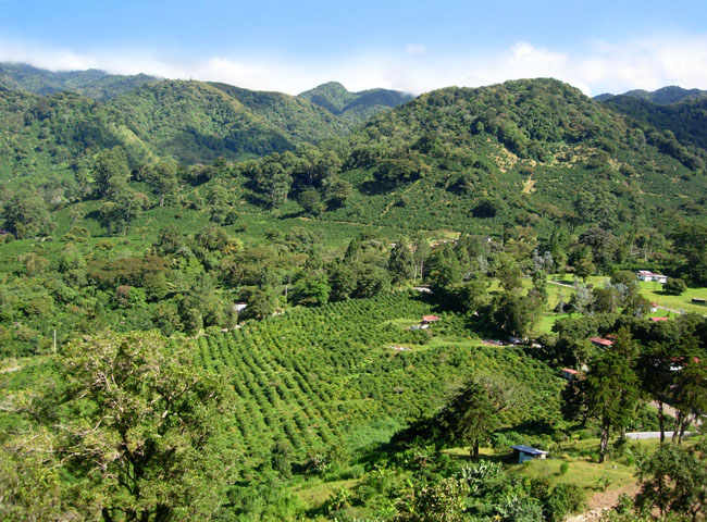 Sold by Casa Solution – Panoramic View Lot #6 in The Springs de Boquete Close to Town  – Lote con Vista Panorámica en The Springs de Boquete