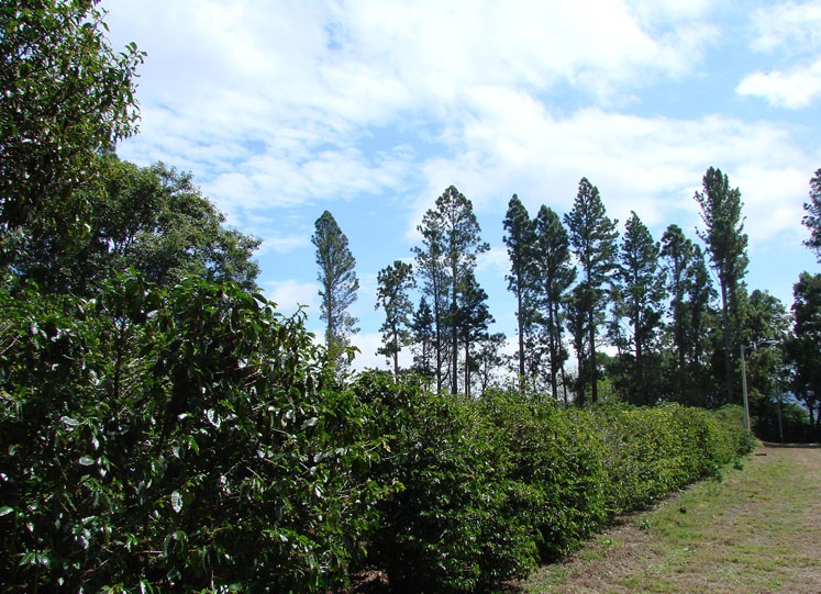 Sold by Casa Solution – Volcancito Lot in a residential development