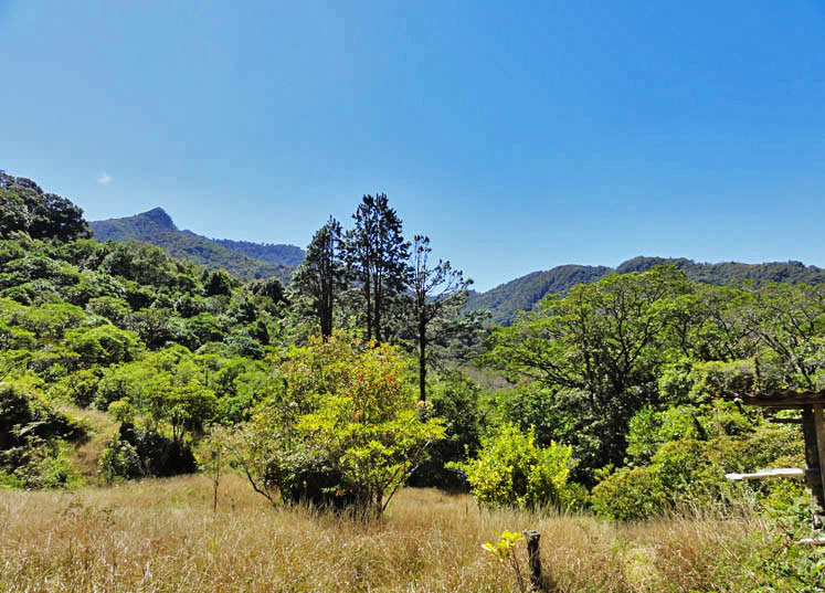 Sold by Casa Solution –  Palo Alto Retreat Property – Would be a Great Eco Lodge or Preservation Site