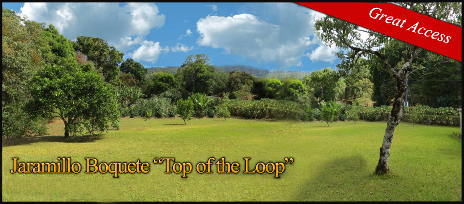 Sold by Casa Solution – Jaramillo, Boquete Lot for Sale. – Now with High Speed Internet & Cable TV Access – Lote en Venta en Jaramillo Boquete con Acceso a Internet y Tv