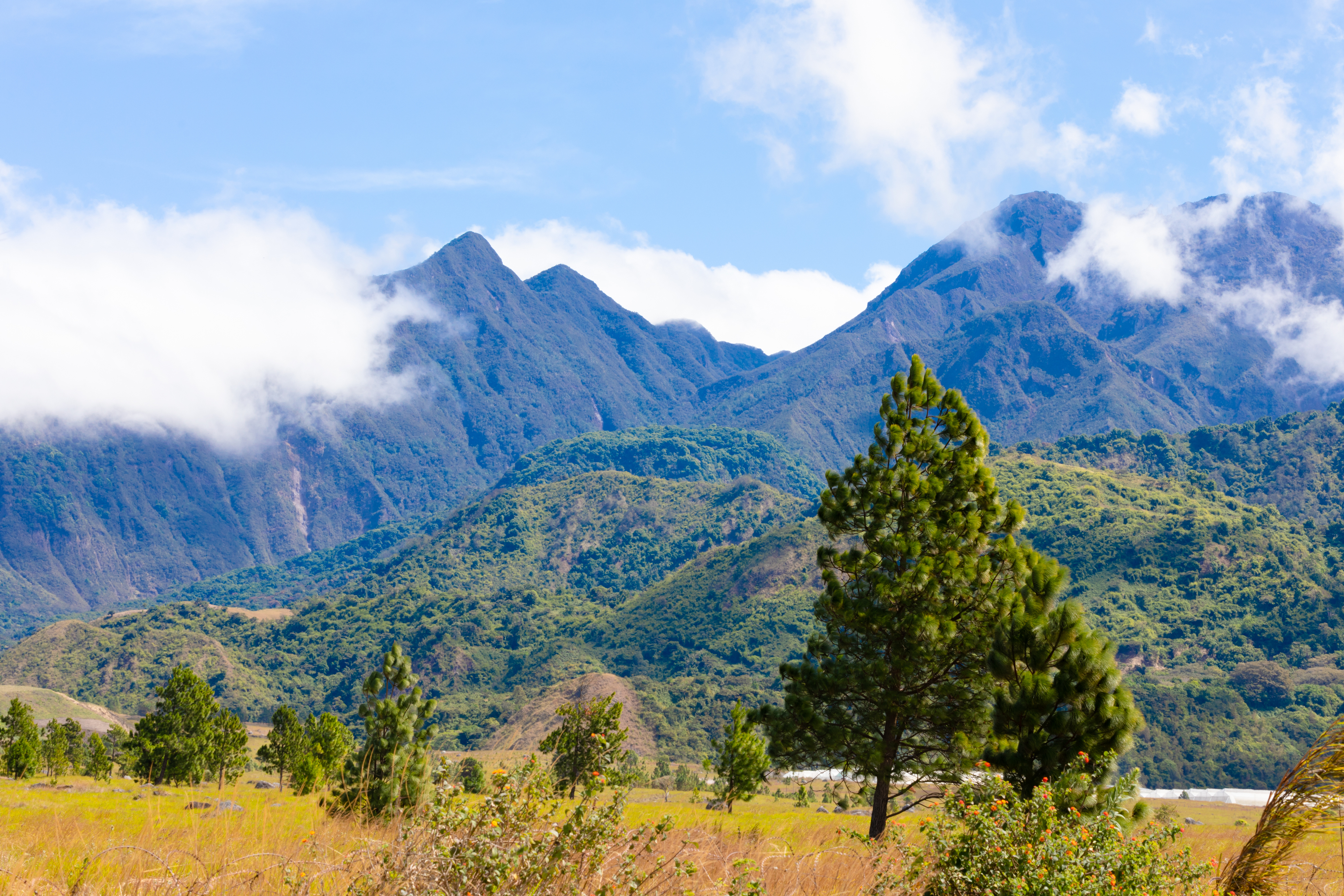 Volcan