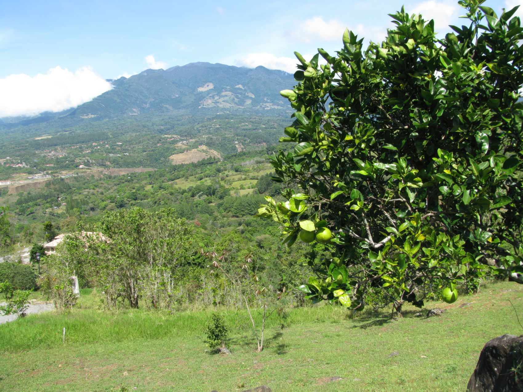 Montaña Verde