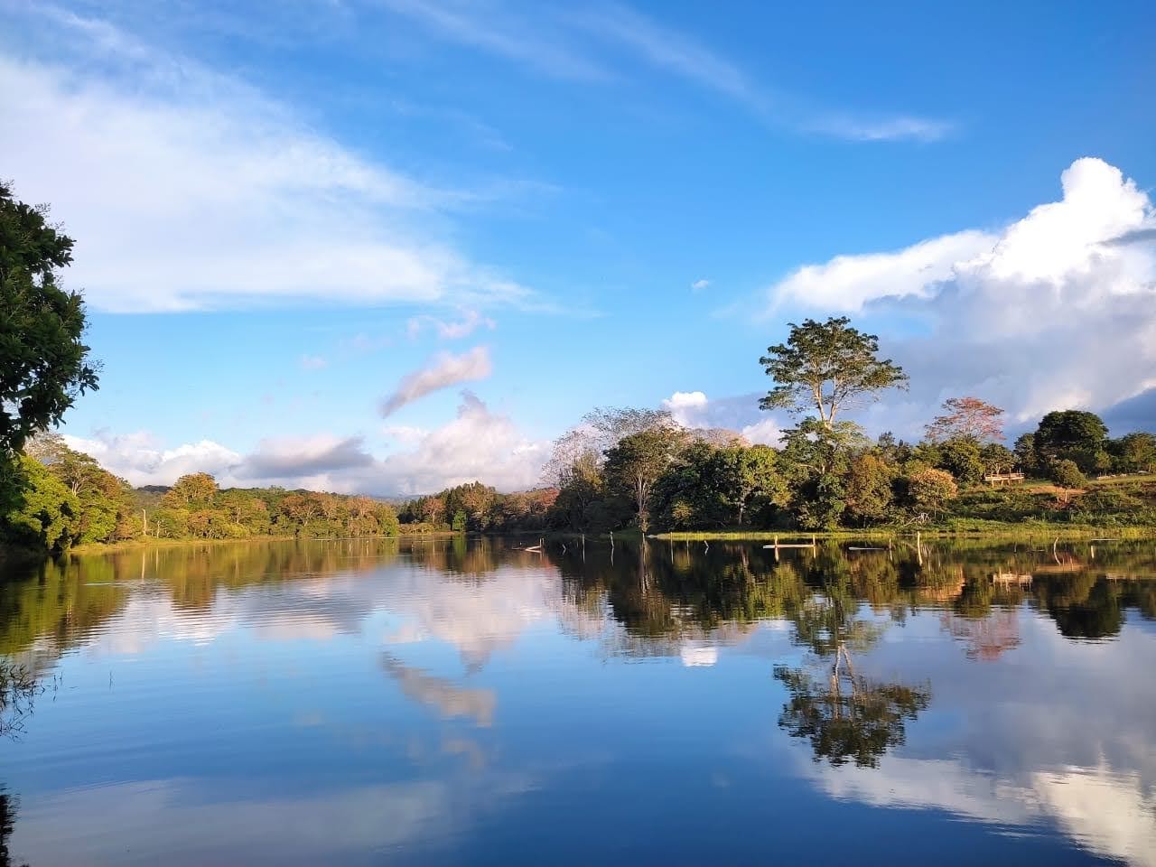 Renacimiento / Rio Sereno