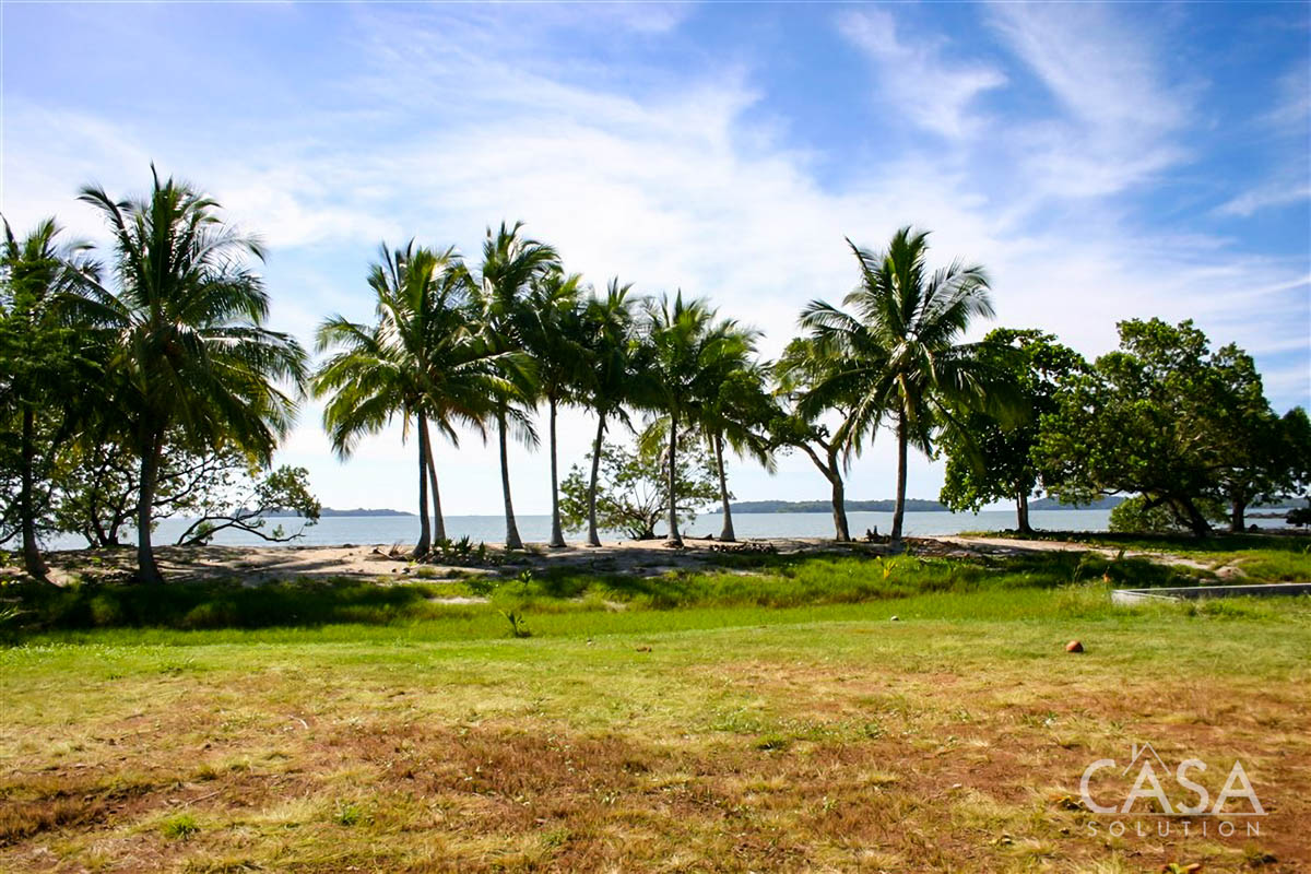 Your Own Tropical Getaway! On this 3,239 Sq. Meters Beachfront Lot 18