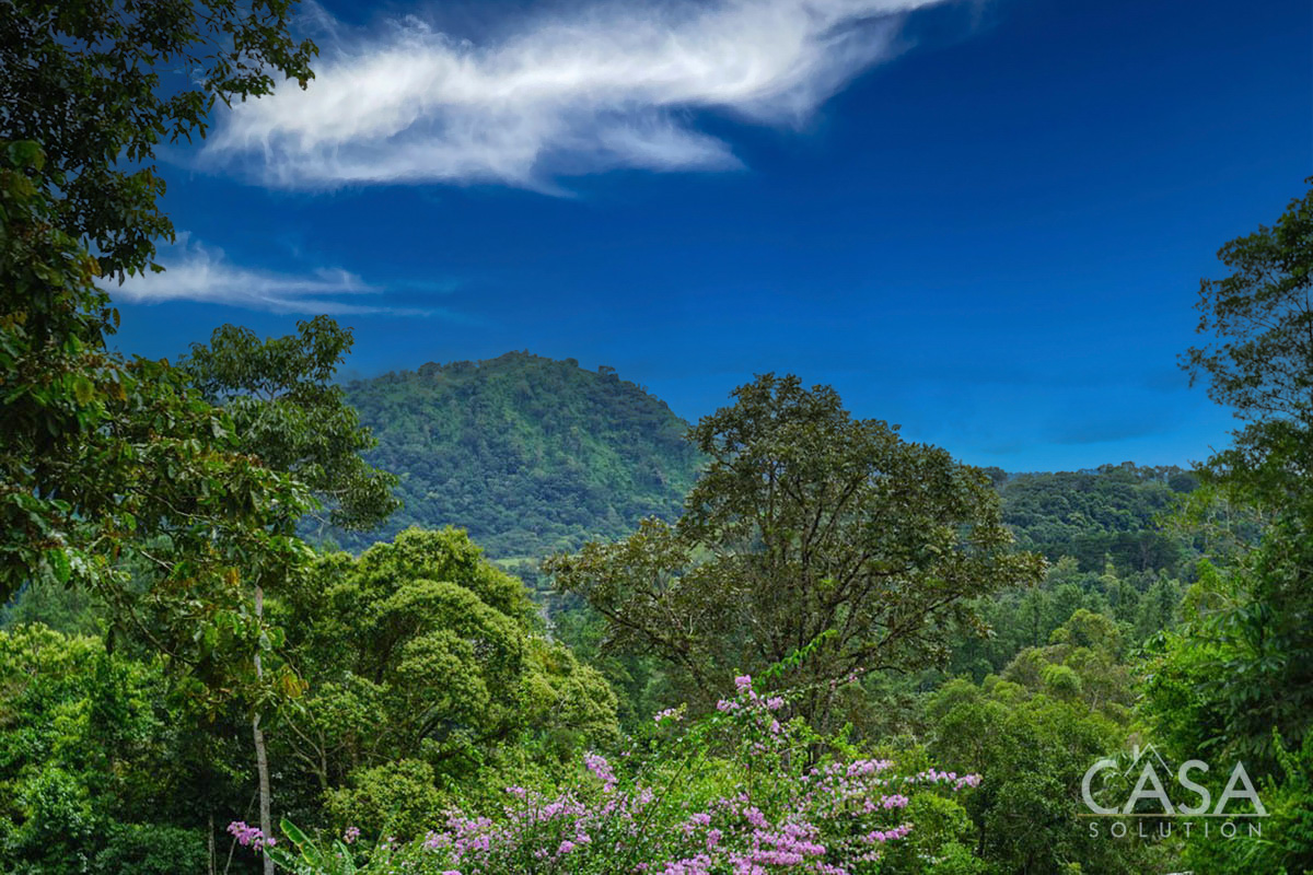 Tizingal Springs