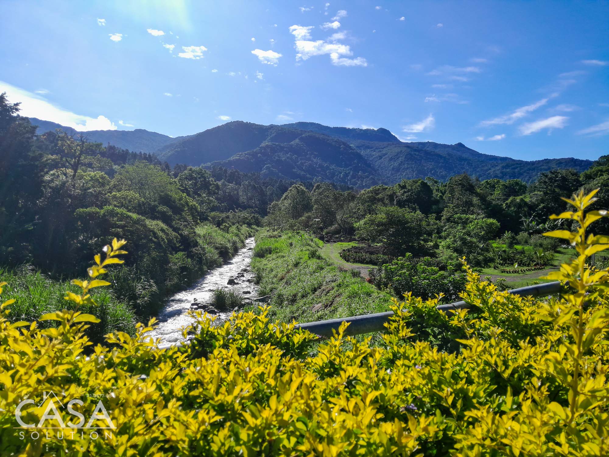 Los Naranjos