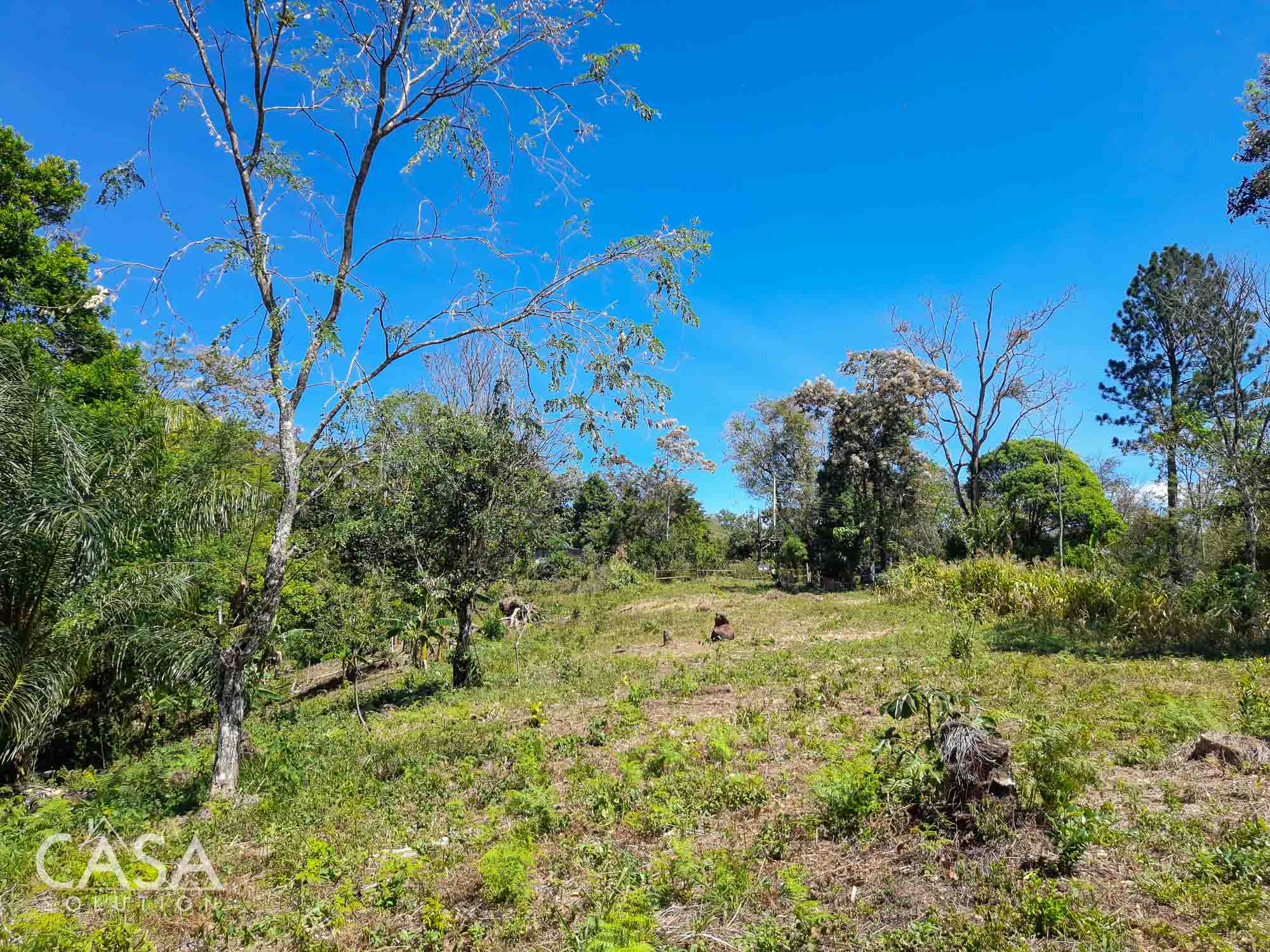 Fertile 1.8-Acre Terrain Lot for Sale in Palmira Abajo, Boquete, Chiriqui