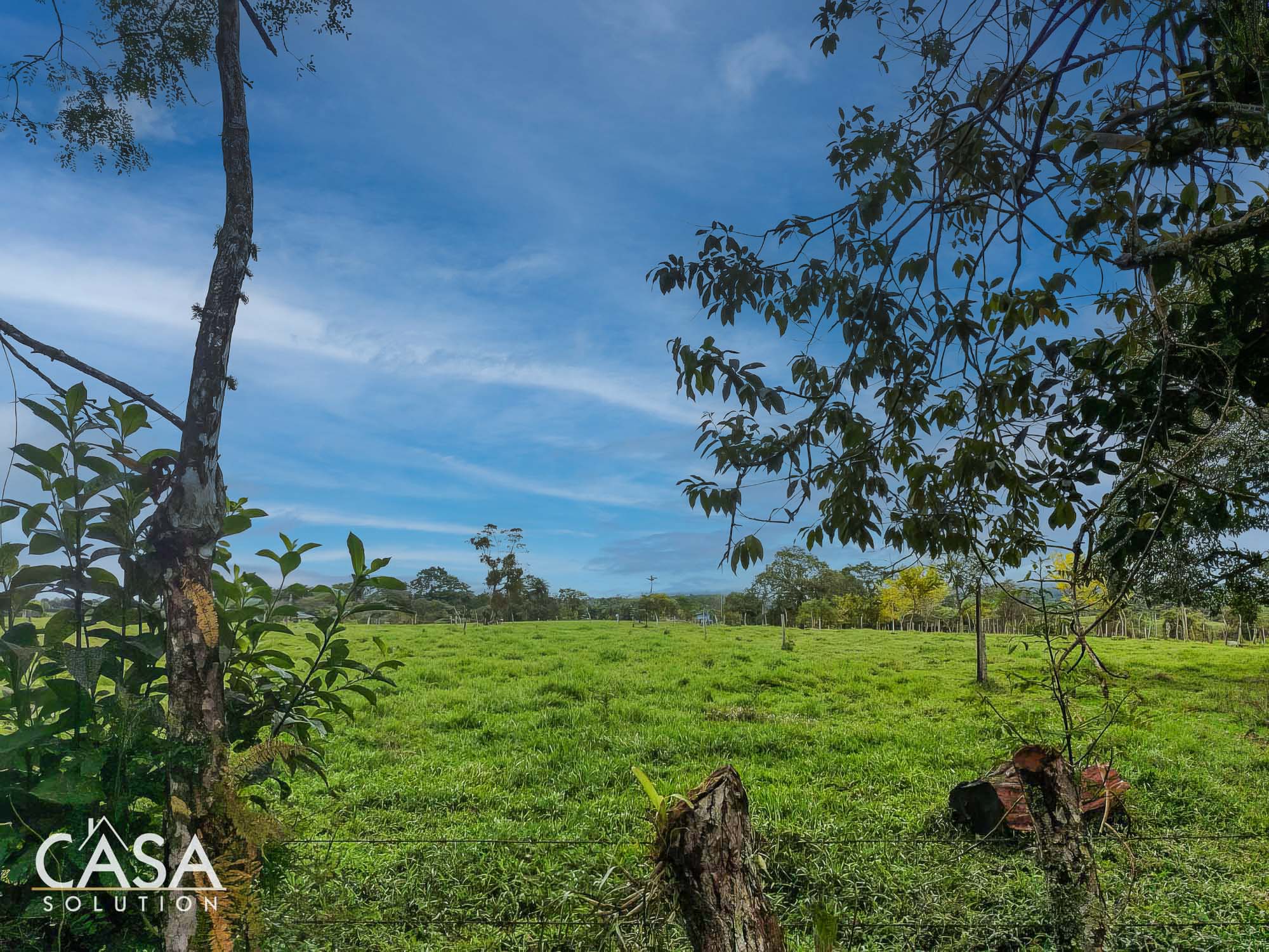 Flat Land Parcel for Sale that Presents a Canvas of Verdant Beauty Waiting to be Explored in Boqueron, Chiriqui