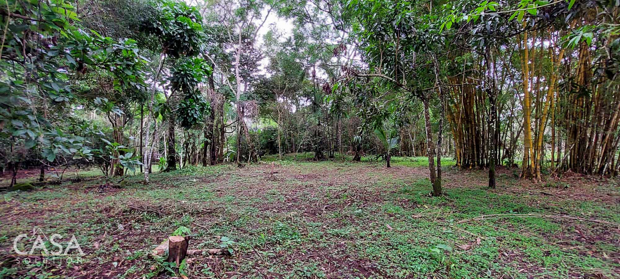 Potrerillos Abajo Lot. 1.6 hectares with stream, trees, utilities, and panoramic views for Sale in Dolega, Chiriqui