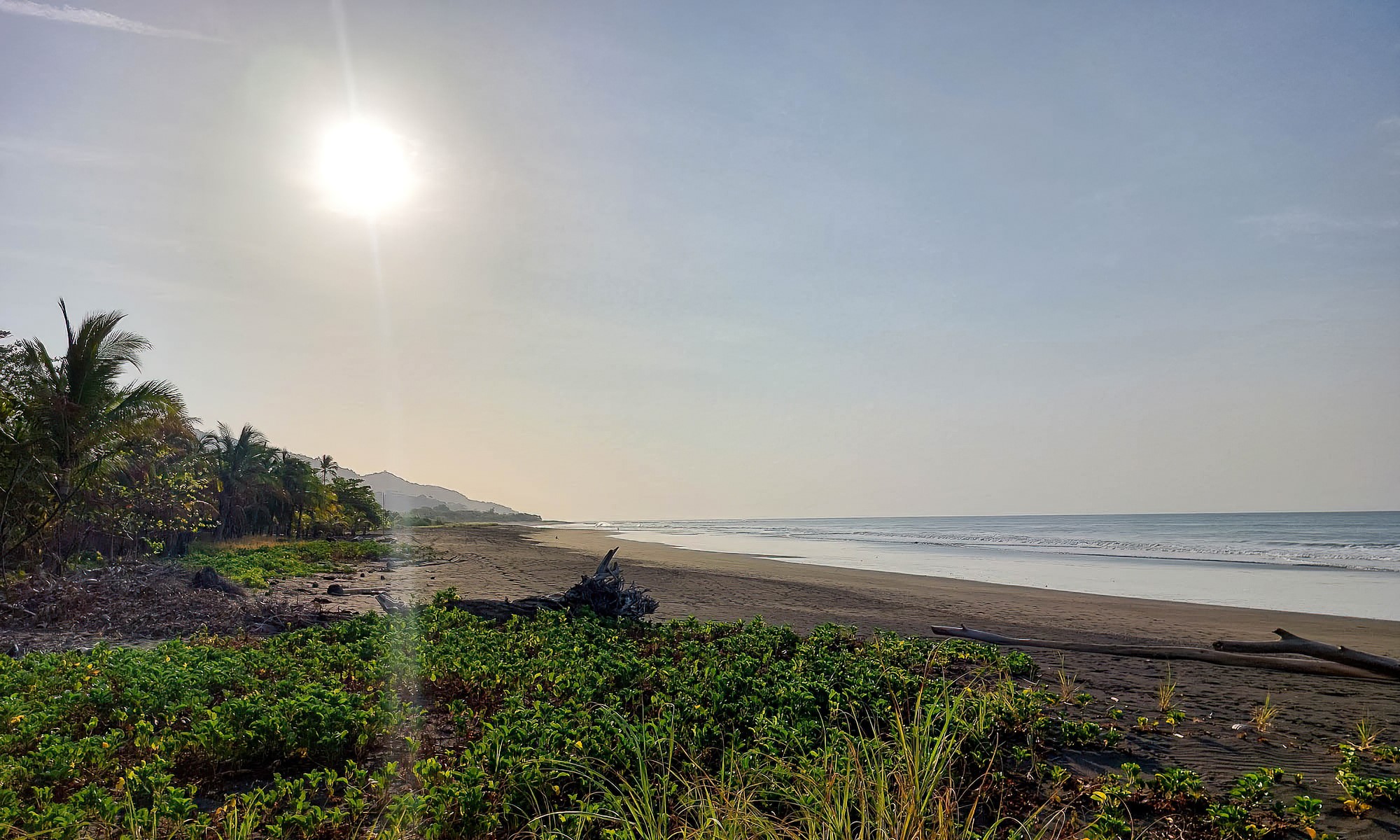 Titled Cambutal Beachfront Lot Next To Beach Break- Near To Hotel Playa in Los Santos Province