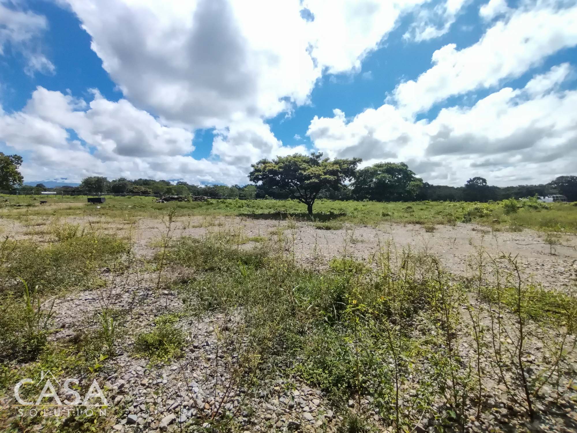 Flat Land for Sale in Dolega, Chiriqui – Conveniently located and Suitable for building, homesteading, farming, and more
