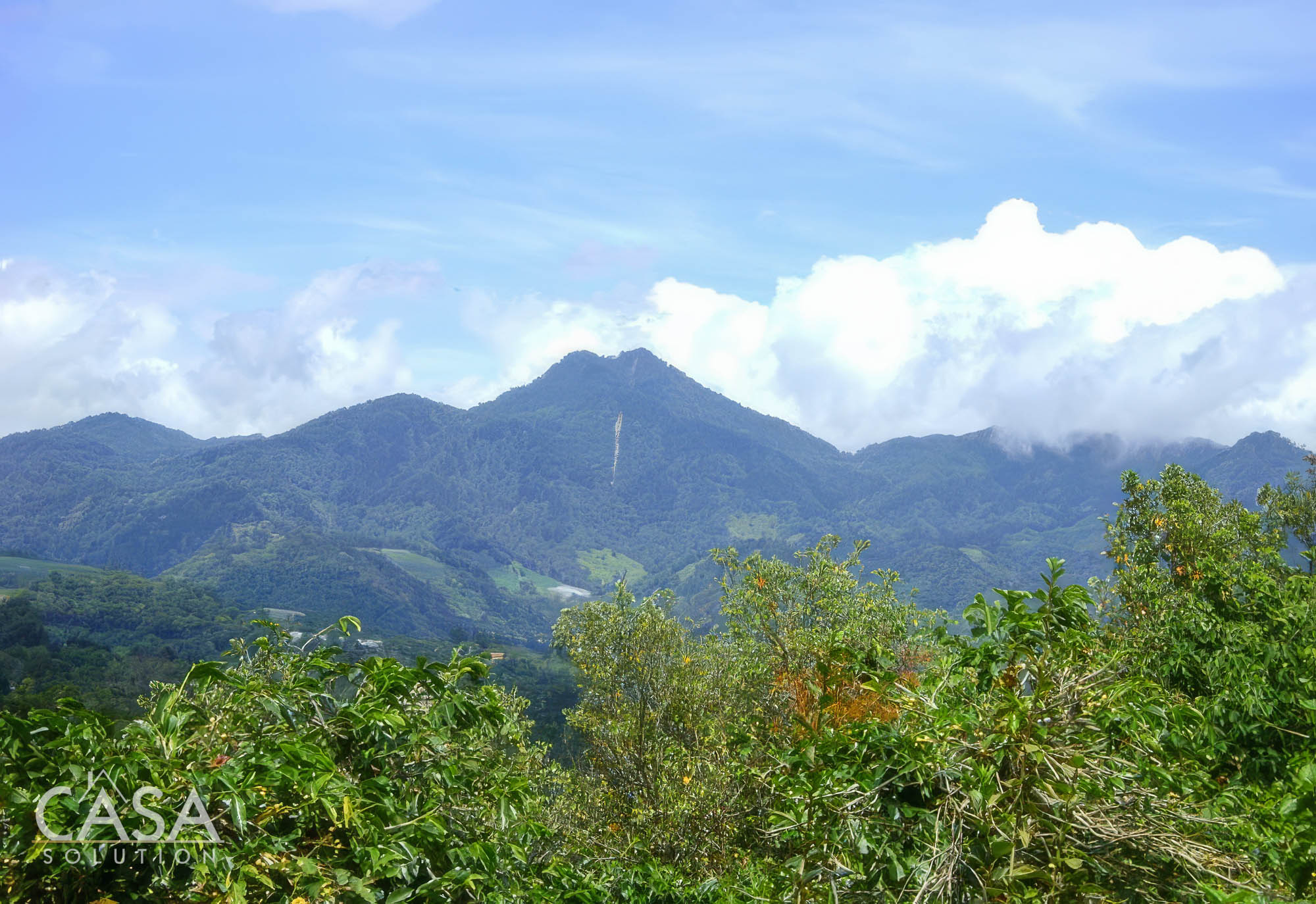 2-hectare Lot for Sale in Volcancito, Boquete with coffee plants, and stunning mountain views