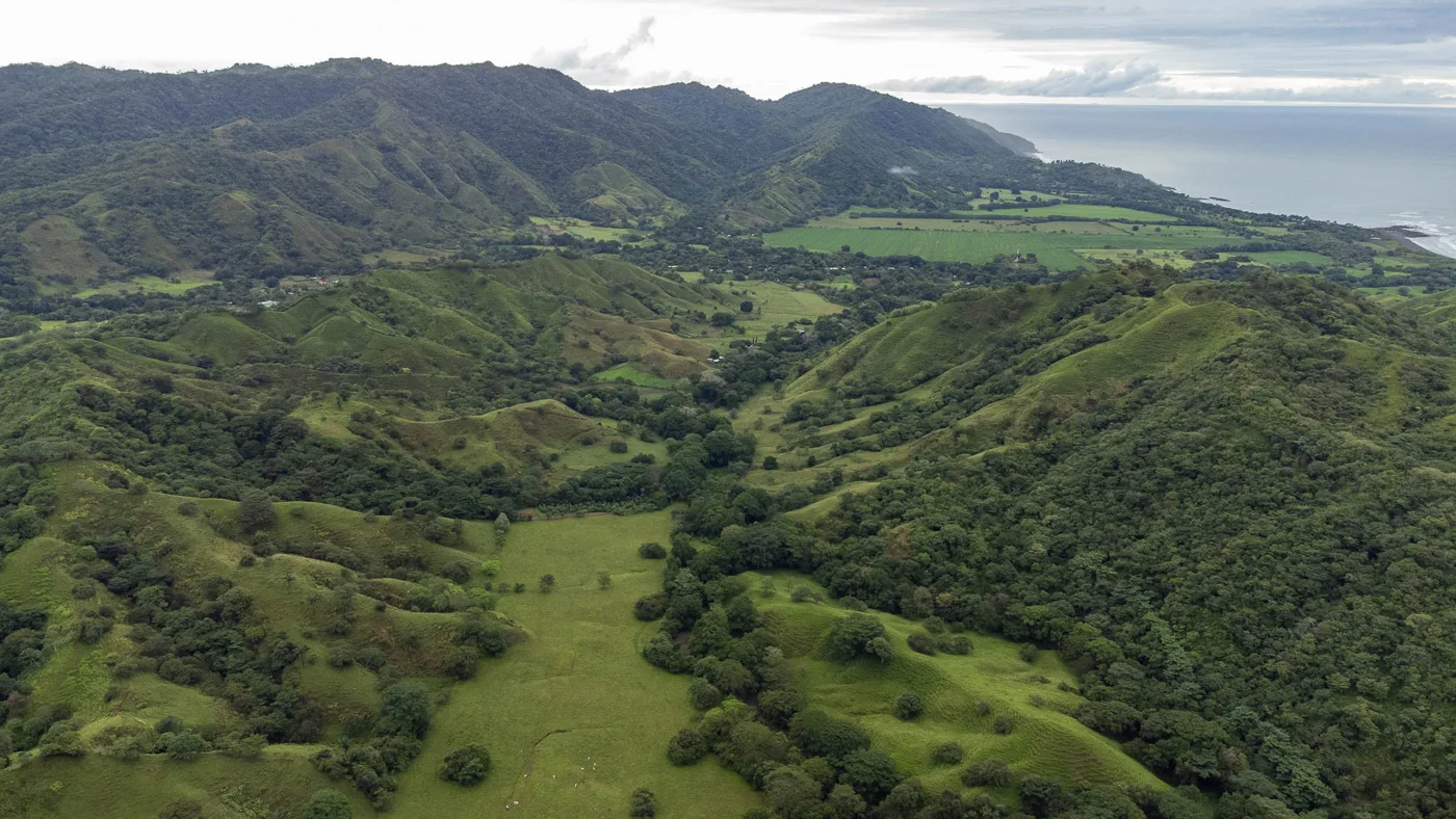 Centrally Located & Spacious Lots for Sale in Cambutal, Los Santos, Panama