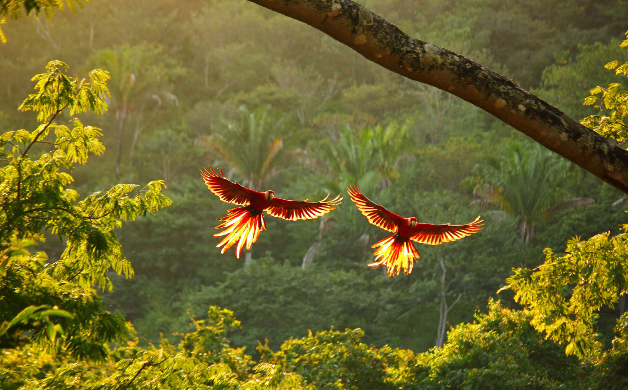 Costa Rica