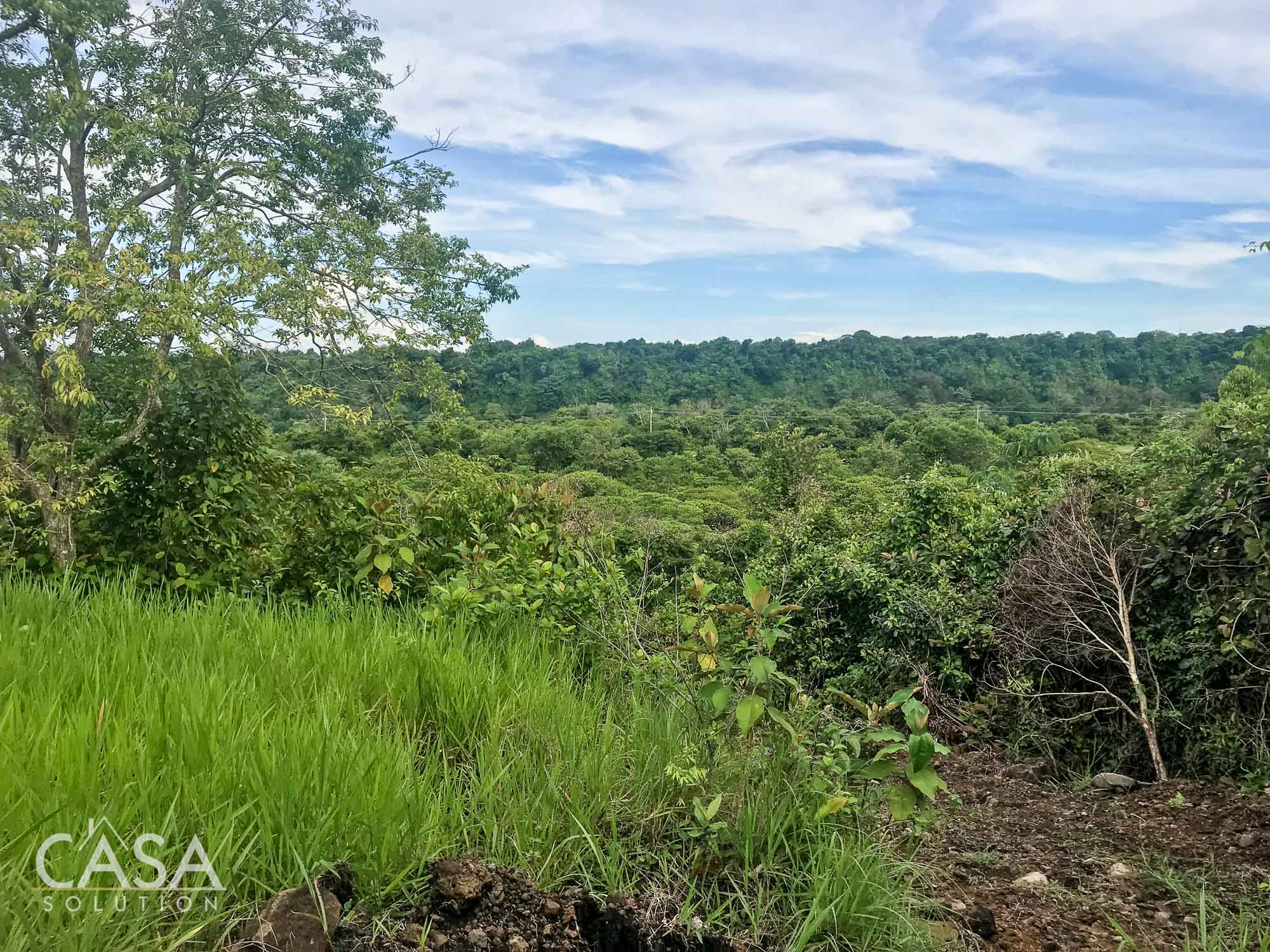 18Ha land for sale in Bocalatún, Chiriquí. 360° views, fertile soil, river frontage. Potential for estate or residential development.