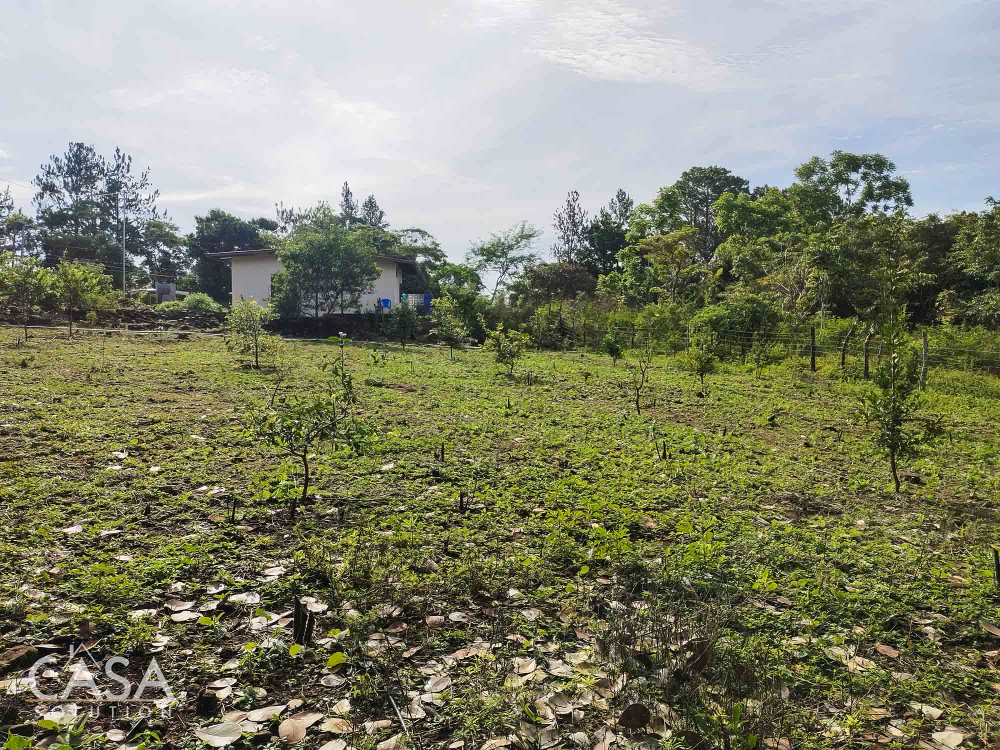 Cozy Studio House With Lemon and Orange Trees for Sale in Potrerillos