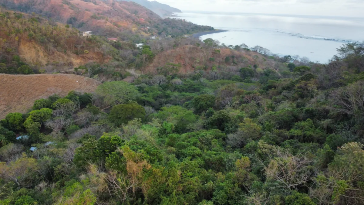 Central Large Property for Sale in Los Buzos Area, Cambutal, Panama