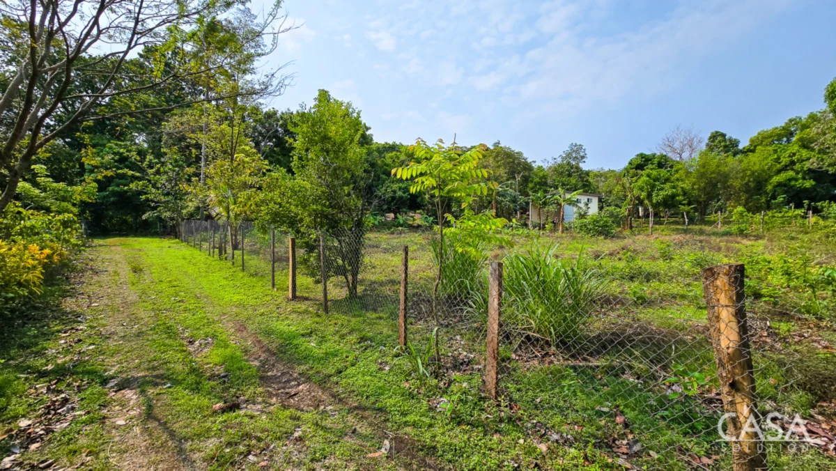 Flat Lot for Sale in Cambutal, Los Santos, Panama