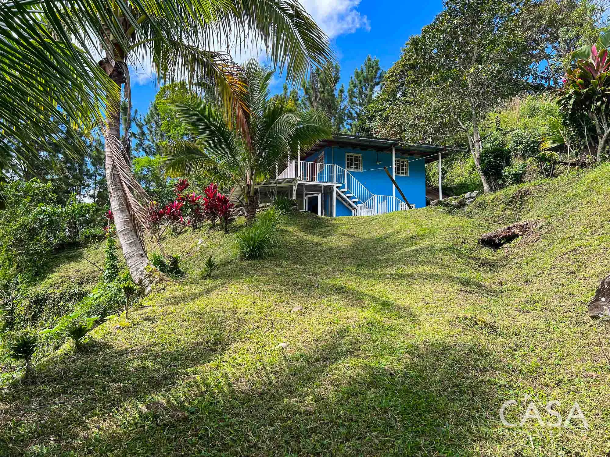 Price Reduction! 11 hectares of organic land for sale in Bella Vista, Camaron Arriba, Santa Rosa, Bugaba with mountain views, fruit trees, natural springs, and wildlife. Ready for development or eco-tourism