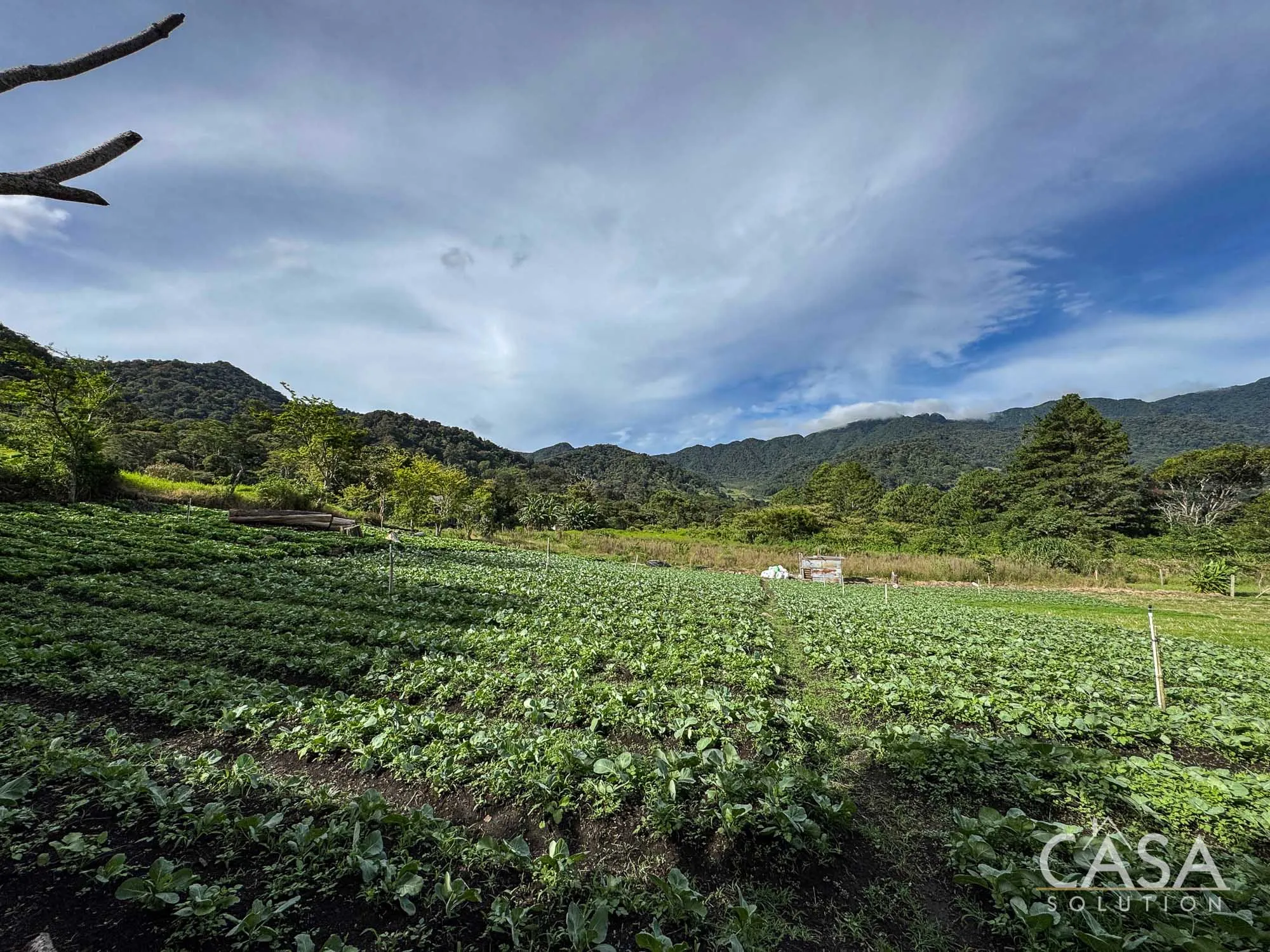 Price Reduction! Versatile 1,250m² lot for sale in Alto Lino, Boquete. Suitable for residential, agricultural, or tourism development