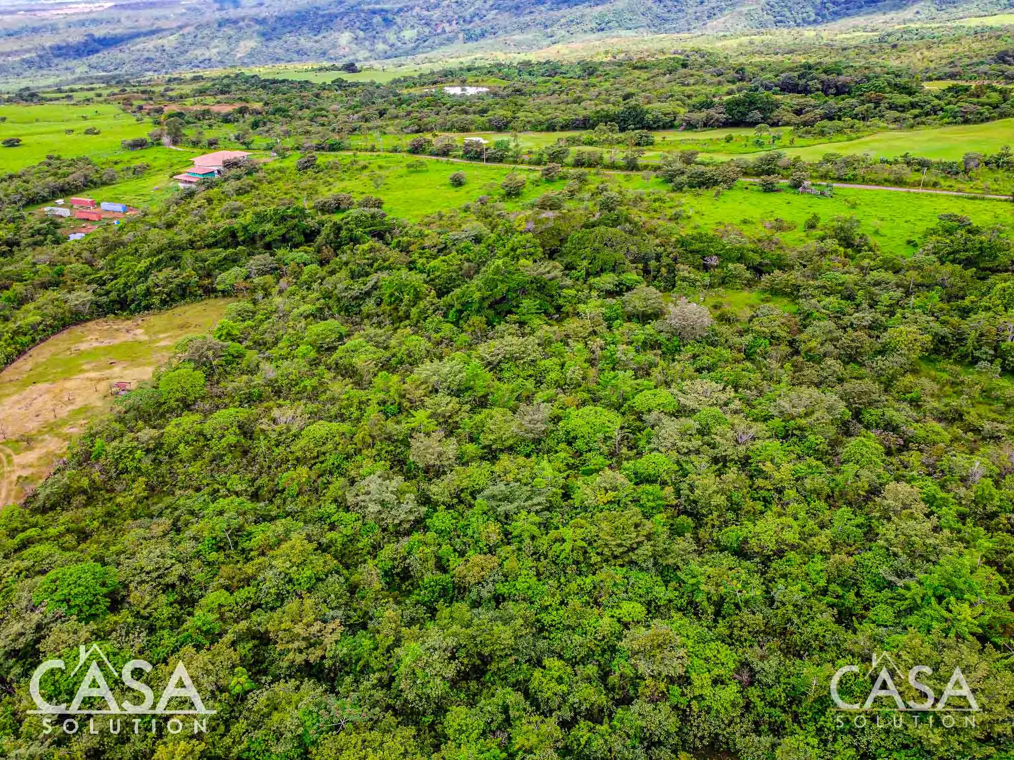 Sold by Casa Solution! 1-hectare lot for sale next to Lucero Golf Community, Boquete. With ocean and mountain views.