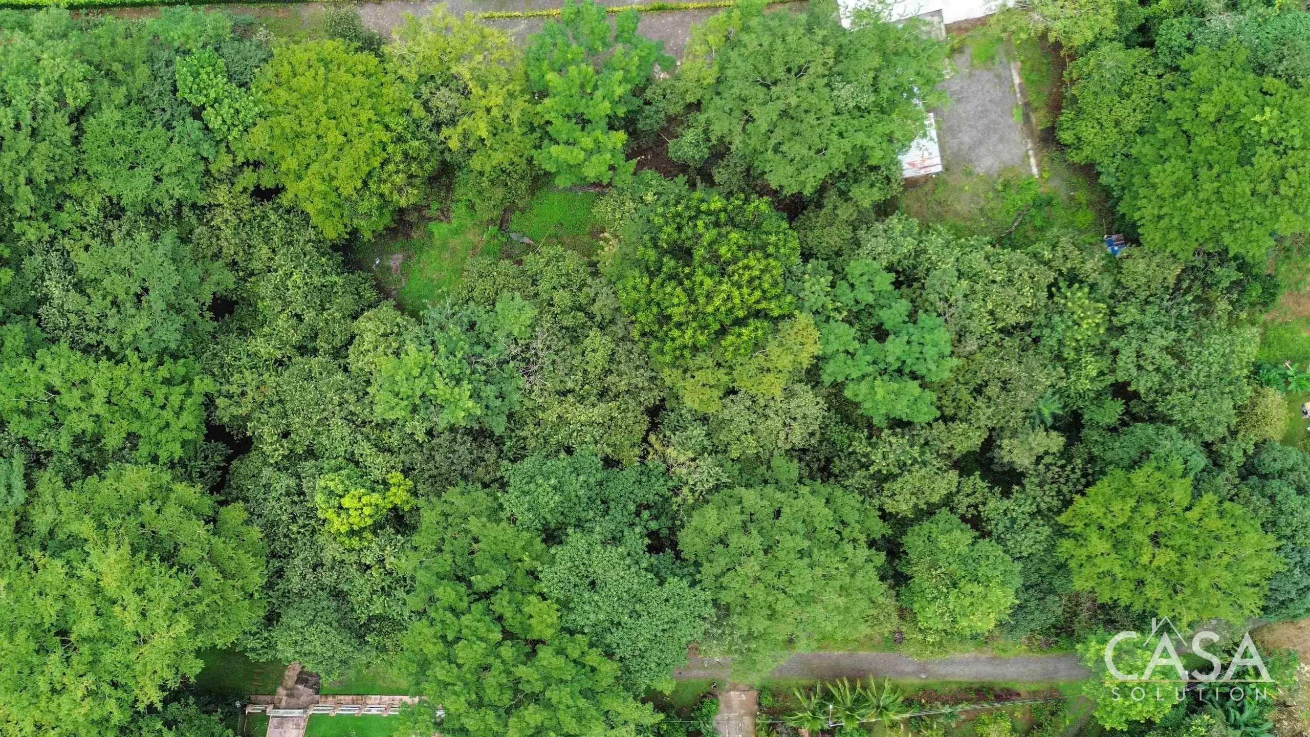 6,723 m² Lot for Sale in Santa Cruz, David, Chiriquí, Close to Main Road