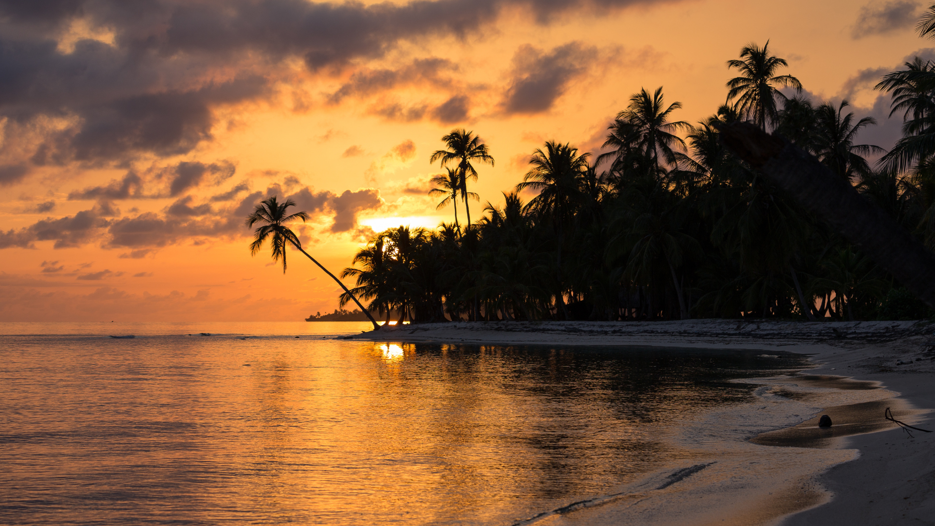 Beach in Panama