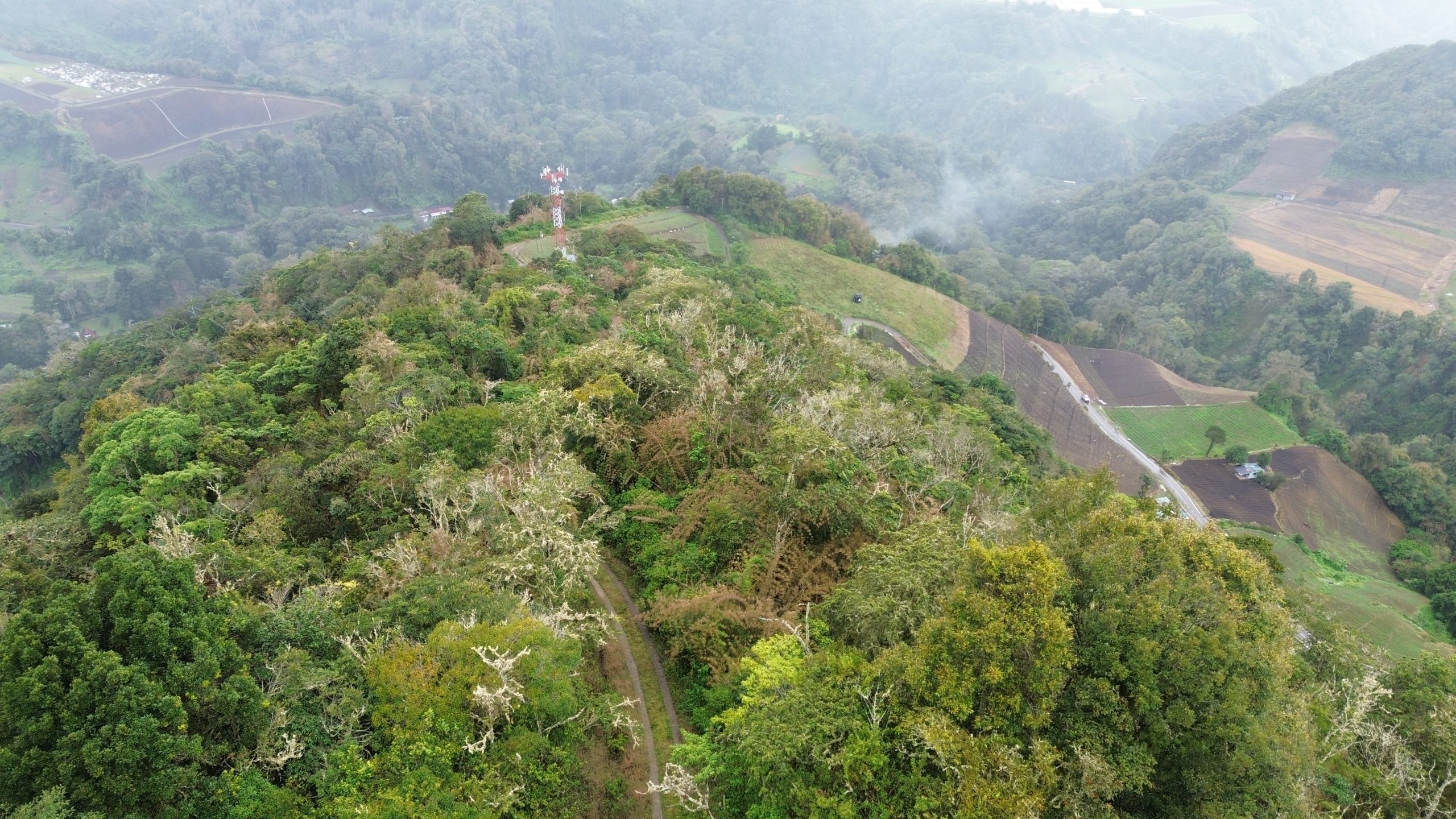 High-Altitude Agricultural land in Nueva Suiza, Cerro Punta