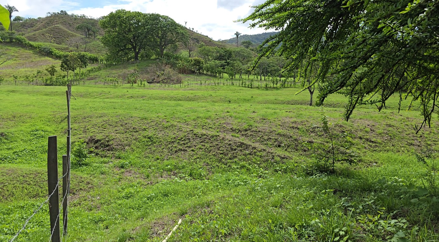 Sold by Casa Solution!! Affordable 0.59-Acre Property in Cambutal