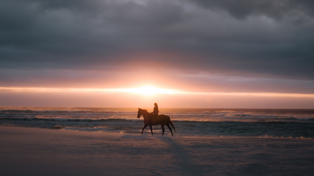 Horse ride beach Coronado