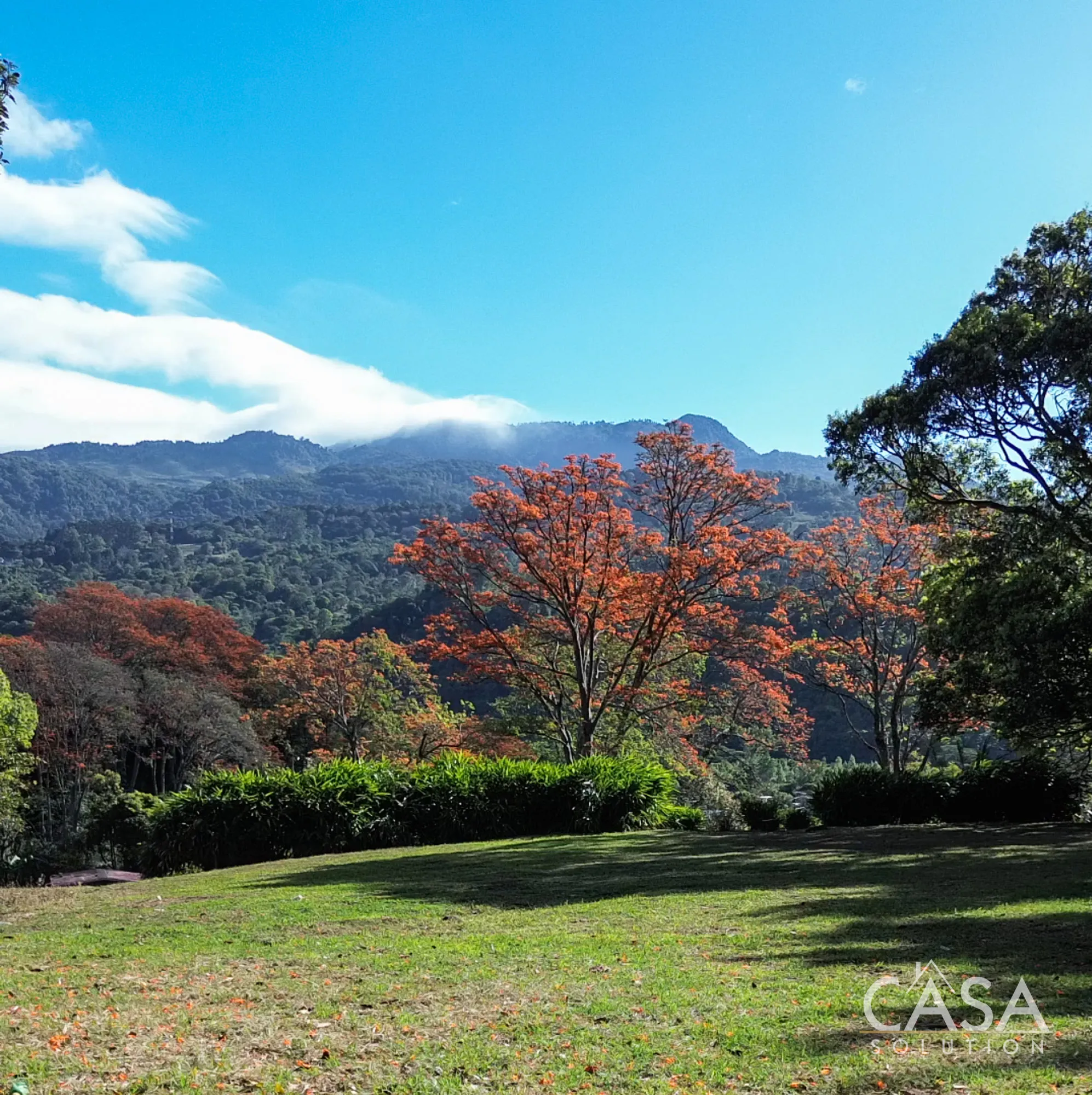 Spacious 1.1-Hectare Lot for Sale Privately Located yet Walking Distance to Downtown Boquete. Mountain views and creek—Ideal for Development