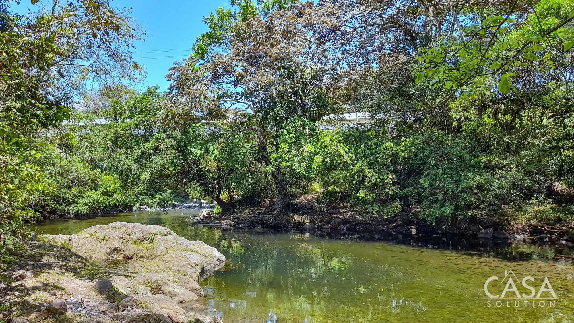 Price Reduction! 1.5-hectare Lot for Sale in La Estrella de Bugaba with 330 Teak Trees, River Views, and easy access to Concepción and David