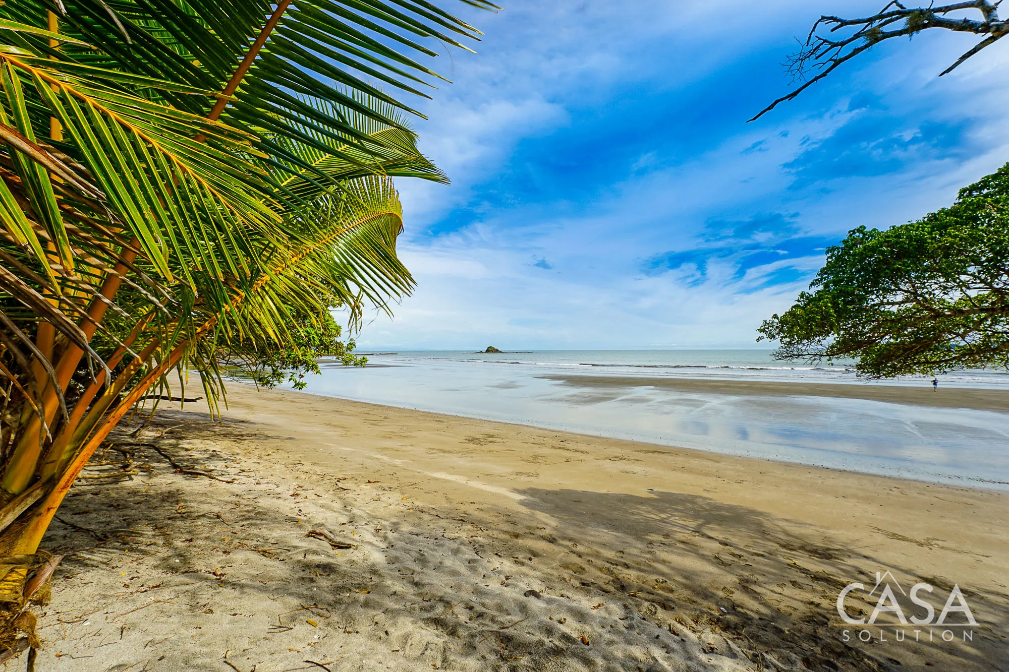 Oceanfront Lot for Sale in Rincon Beach Estates, Boca Chica. Flat topography and direct Ocean Views